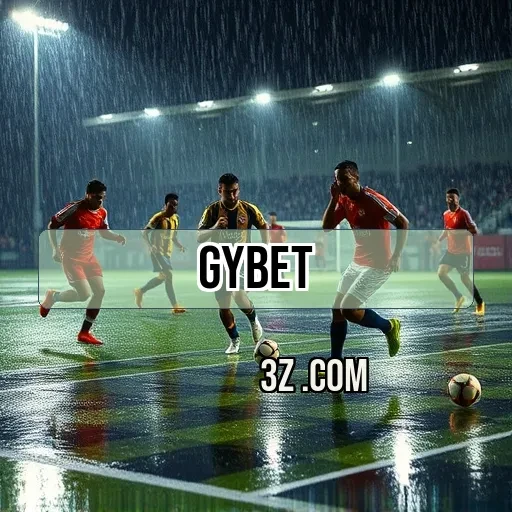 gybet.com: A Importância dos Termos e Condições para Jogadores